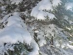 19012024_Samsung Smartphone Galaxy 10 Plus_26th round to Hokkaido_Takino Suzuran Hillside Park00019