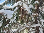 19012024_Samsung Smartphone Galaxy 10 Plus_26th round to Hokkaido_Takino Suzuran Hillside Park00020