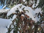 19012024_Samsung Smartphone Galaxy 10 Plus_26th round to Hokkaido_Takino Suzuran Hillside Park00021
