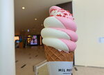 20012024_Samsung Smartphone Galaxy 10 Plus_26th round to Hokkaido_Kitahiroshima Mitsui Outlet Park_Supermarket00064