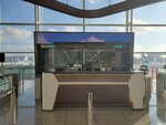 18072024_Samsung Smartphone Galaxy S10 Plus_27th round to Hokkaido_Hong Kong International Airport00020