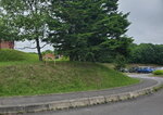 19072024_Samsung Smartphone Galaxy S10 Plus_27th round to Hokkaido_Kushiro Shitsugen Kokuretsu Koen00002