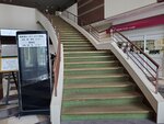 19072024_Samsung Smartphone Galaxy S10 Plus_27th round to Hokkaido_Kushiroshi00023