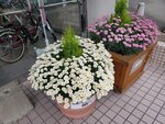 19072024_Samsung Smartphone Galaxy S10 Plus_27th round to Hokkaido_Kushiroshi00024
