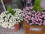 19072024_Samsung Smartphone Galaxy S10 Plus_27th round to Hokkaido_Kushiroshi00025
