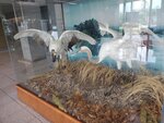19072024_Samsung Smartphone Galaxy S10 Plus_27th round to Hokkaido_Kushiroshi00026