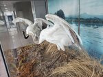 19072024_Samsung Smartphone Galaxy S10 Plus_27th round to Hokkaido_Kushiroshi00027