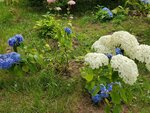 19072024_Samsung Smartphone Galaxy S10 Plus_27th round to Hokkaido_Kushiroshi00039