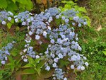19072024_Samsung Smartphone Galaxy S10 Plus_27th round to Hokkaido_Kushiroshi00042
