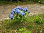 19072024_Samsung Smartphone Galaxy S10 Plus_27th round to Hokkaido_Kushiroshi00044