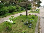 19072024_Samsung Smartphone Galaxy S10 Plus_27th round to Hokkaido_Kushiroshi00046