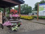19072024_Samsung Smartphone Galaxy S10 Plus_27th round to Hokkaido_Michi no Eki_Teshikagacho00029