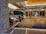 19072024_Samsung Smartphone Galaxy S10 Plus_27th round to Hokkaido_Shiretoko Daiichi Hotel00011