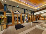 19072024_Samsung Smartphone Galaxy S10 Plus_27th round to Hokkaido_Shiretoko Daiichi Hotel00018