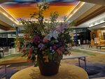 19072024_Samsung Smartphone Galaxy S10 Plus_27th round to Hokkaido_Shiretoko Daiichi Hotel00030