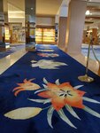 19072024_Samsung Smartphone Galaxy S10 Plus_27th round to Hokkaido_Shiretoko Daiichi Hotel00032