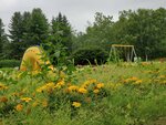 19072024_Samsung Smartphone Galaxy S10 Plus_27th round to Hokkaido_Tokachi Makubetsu Morning00024