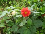 19072024_Samsung Smartphone Galaxy S10 Plus_27th round to Hokkaido_Tokachi Makubetsu Morning00026