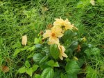 19072024_Samsung Smartphone Galaxy S10 Plus_27th round to Hokkaido_Tokachi Makubetsu Morning00028