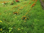 19072024_Samsung Smartphone Galaxy S10 Plus_27th round to Hokkaido_Tokachi Makubetsu Morning00029