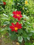 19072024_Samsung Smartphone Galaxy S10 Plus_27th round to Hokkaido_Tokachi Makubetsu Morning00031