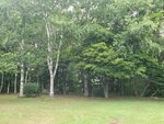 19072024_Samsung Smartphone Galaxy S10 Plus_27th round to Hokkaido_Tokachi Makubetsu Morning00039