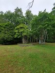 19072024_Samsung Smartphone Galaxy S10 Plus_27th round to Hokkaido_Tokachi Makubetsu Morning00047