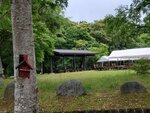 19072024_Samsung Smartphone Galaxy S10 Plus_27th round to Hokkaido_Tokachi Makubetsu Morning00051