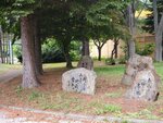 19072024_Samsung Smartphone Galaxy S10 Plus_27th round to Hokkaido_Tokachi Makubetsu Morning00055