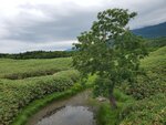 20072024_Samsung Smartphone Galaxy S10 Plus_27th round to Hokkaido_Shiretoko National Park_Shiretoko Goko Lakes_Lake One00008