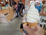 20072024_Samsung Smartphone Galaxy S10 Plus_27th round to Hokkaido_Shiretoko Oshinkoshin Taki00040