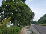 21072024_Samsung Smartphone Galaxy S10 Plus_27th round to Hokkaido_Abashiriko Morning00022