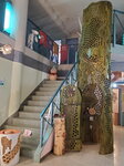 21072024_Samsung Smartphone Galaxy S10 Plus_27th round to Hokkaido_Asahikawa Ice Pavilion00013