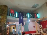21072024_Samsung Smartphone Galaxy S10 Plus_27th round to Hokkaido_Asahikawa Ice Pavilion00018