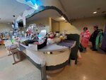 21072024_Samsung Smartphone Galaxy S10 Plus_27th round to Hokkaido_Asahikawa Ice Pavilion00022