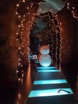 21072024_Samsung Smartphone Galaxy S10 Plus_27th round to Hokkaido_Asahikawa Ice Pavilion00055