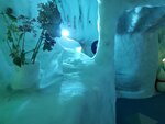 21072024_Samsung Smartphone Galaxy S10 Plus_27th round to Hokkaido_Asahikawa Ice Pavilion00082