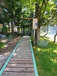21072024_Samsung Smartphone Galaxy S10 Plus_27th round to Hokkaido_Asahikawa Ice Pavilion_Ice_Ice Jinja00002