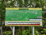22072024_Samsung Smartphone Galaxy S10 Plus_27th round to Hokkaido_Biei Aoi Ike00097