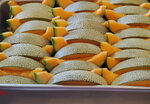 22072024_Samsung Smartphone Galaxy S10 Plus_27th round to Hokkaido_Biei_Melon Hodai00003