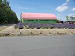 22072024_Samsung Smartphone Galaxy S10 Plus_27th round to Hokkaido_Biei_Shikisai no Oka00013
