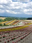22072024_Samsung Smartphone Galaxy S10 Plus_27th round to Hokkaido_Biei_Shikisai no Oka00019