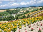22072024_Samsung Smartphone Galaxy S10 Plus_27th round to Hokkaido_Biei_Shikisai no Oka00027