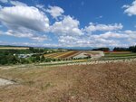 22072024_Samsung Smartphone Galaxy S10 Plus_27th round to Hokkaido_Biei_Shikisai no Oka00033