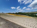 22072024_Samsung Smartphone Galaxy S10 Plus_27th round to Hokkaido_Biei_Shikisai no Oka00035
