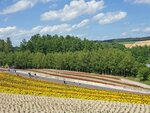 22072024_Samsung Smartphone Galaxy S10 Plus_27th round to Hokkaido_Biei_Shikisai no Oka00036