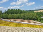 22072024_Samsung Smartphone Galaxy S10 Plus_27th round to Hokkaido_Biei_Shikisai no Oka00037