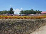 22072024_Samsung Smartphone Galaxy S10 Plus_27th round to Hokkaido_Biei_Shikisai no Oka00038