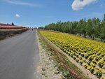 22072024_Samsung Smartphone Galaxy S10 Plus_27th round to Hokkaido_Biei_Shikisai no Oka00045