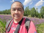 22072024_Samsung Smartphone Galaxy S10 Plus_27th round to Hokkaido_Biei_Shikisai no Oka00085